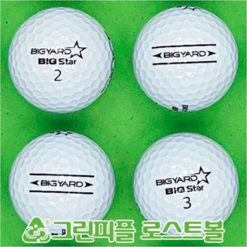 빅야드 빅스타 화이트 2피스 A+급 로스트볼 16개